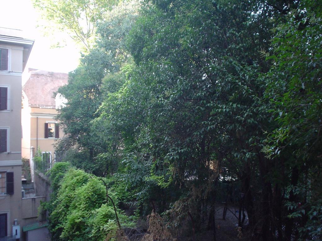 House Maximo At Colosseum Rome Ruang foto